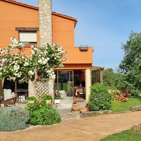 Leiradaporta Villa Monforte De Lemos Exteriör bild